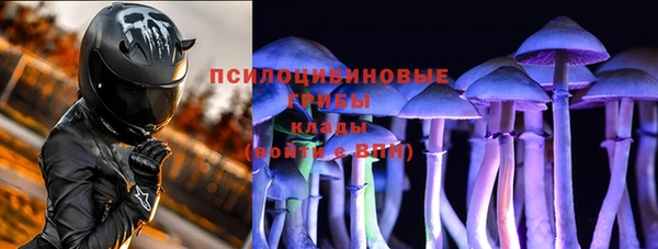 тгк Елизово