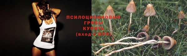мефедрон мука Ельня