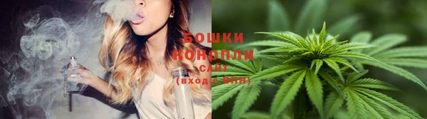 гидропоника Елабуга