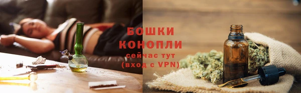 тгк Елизово