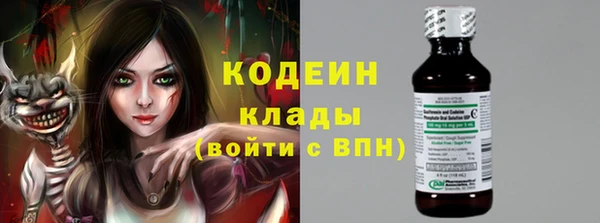 тгк Елизово