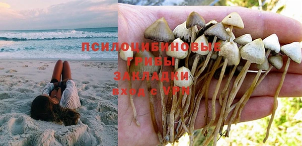 тгк Елизово