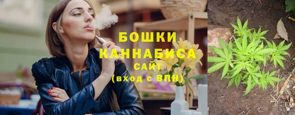 гидропоника Елабуга
