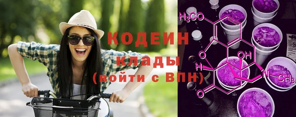 тгк Елизово
